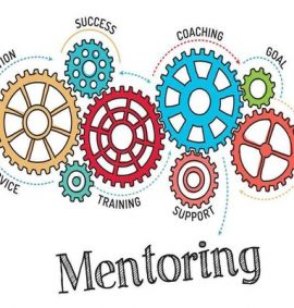 Mentoring for mentors eLearning